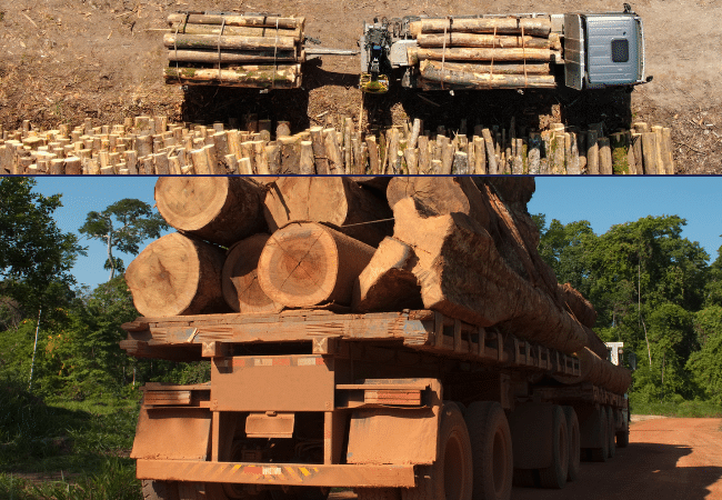 ADIMAS | Le bois est aussi un candidat biosourcé