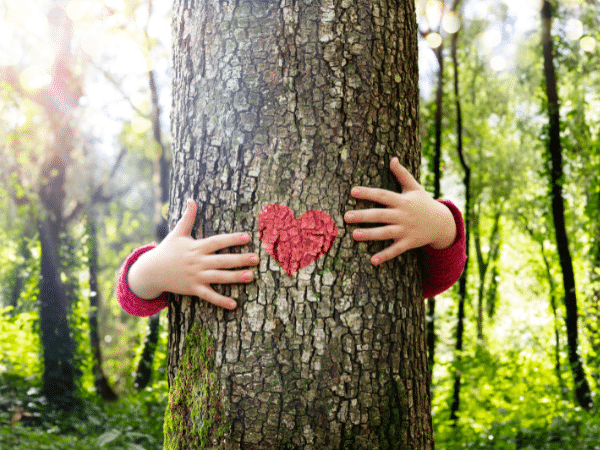 ADIMAS | Originaire du Japon, la sylvothérapie désigne une pratique de soin au contact des arbres